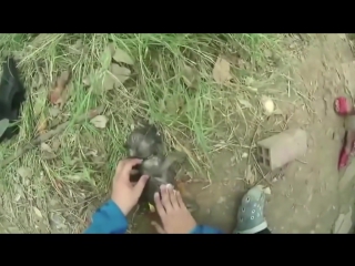 vietnamese saves choking puppy by ventilating him with a bottle