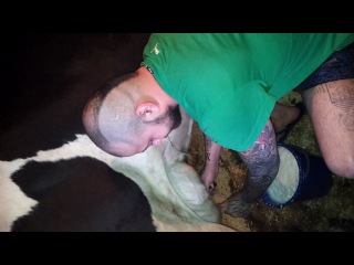 how i milked a cow...)